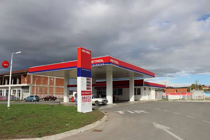 Petrol Slovenia’s Biggest Company by Turnover, Krka by Profit