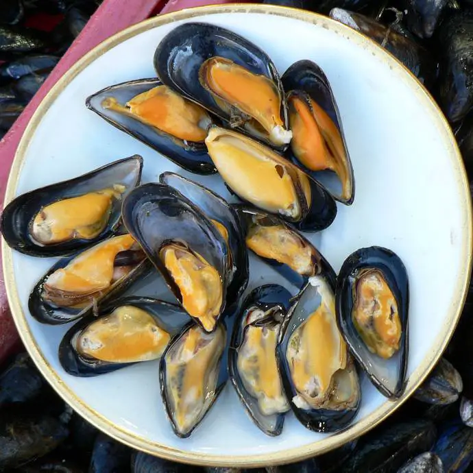 Tense Situation as Croatian Mussel Farm Expands into Slovene Waters