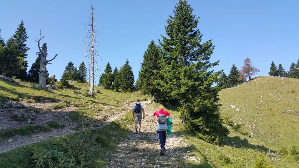 20180828_100326small.jpg