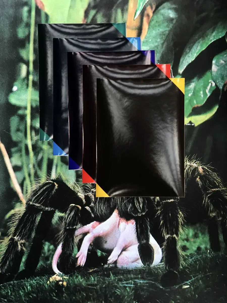 Aleksandra Vajd, Collage by K. E. Graebner Nature the Unknown Acquaintance (1971) and a unit of five hand-dyed photograms titled ‘rivalry of superior vs. inferior’, 2017.jpg