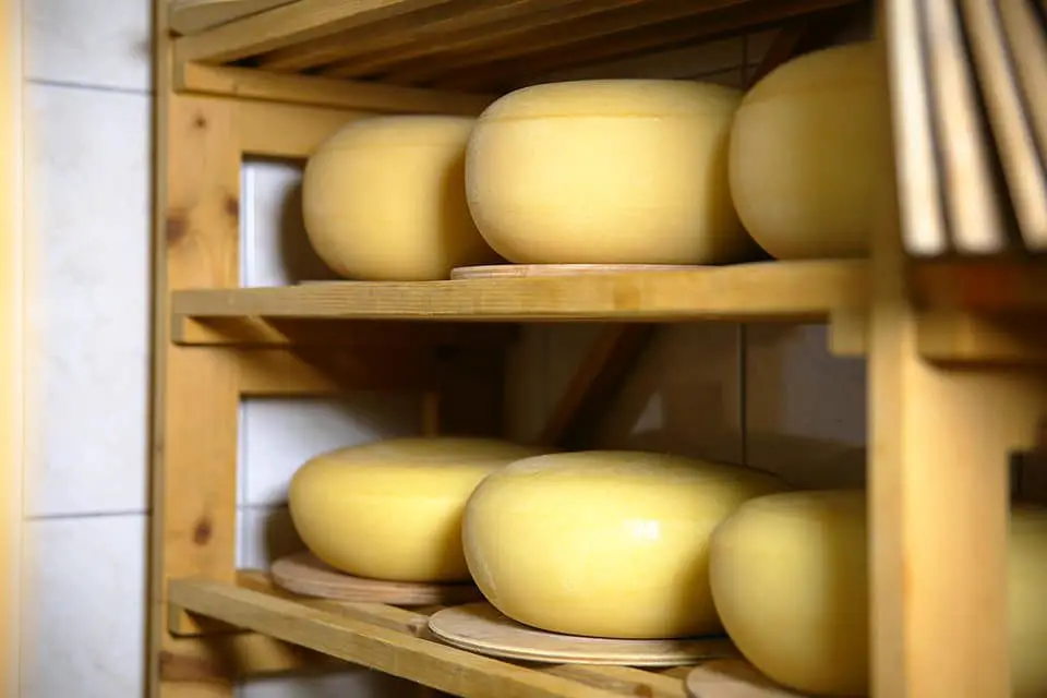 Cheese-aging cellar.jpg
