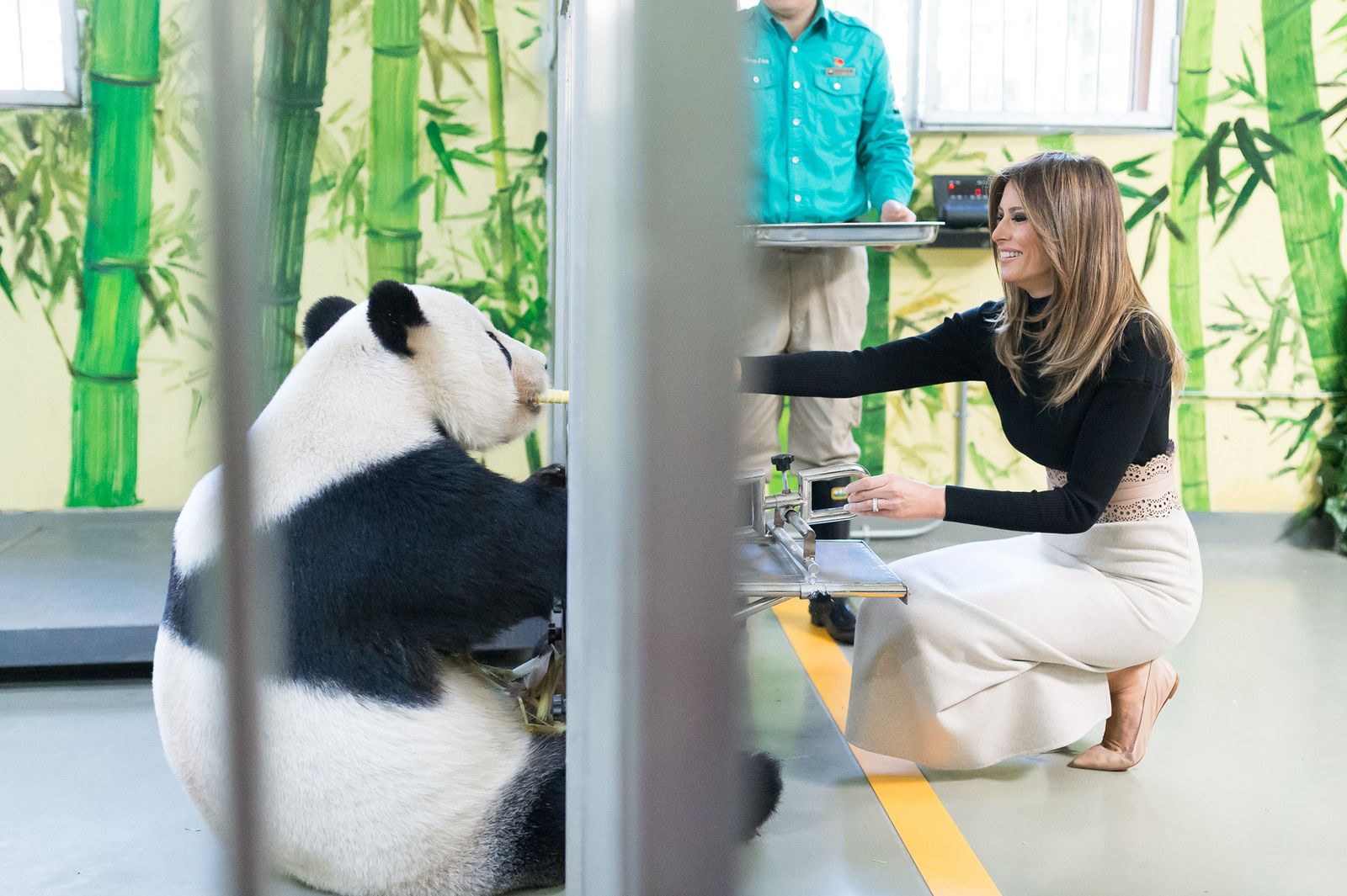 Flickr First Lady Melania Trump visits China  November 10, 2017 .jpg