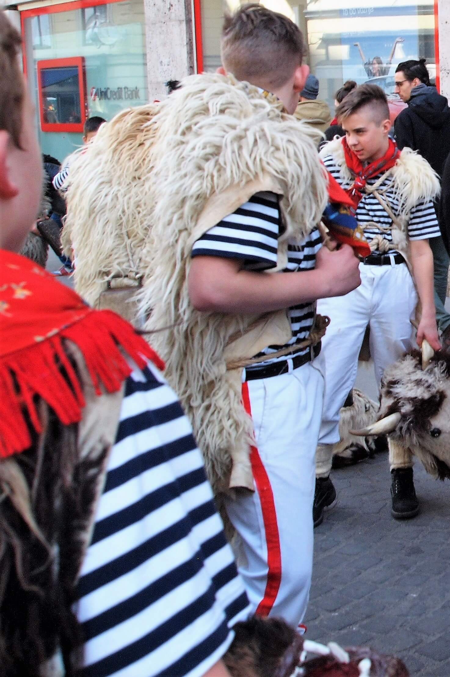 Ljubljana Pust Carnival 2019 JL Flanner (1).JPG