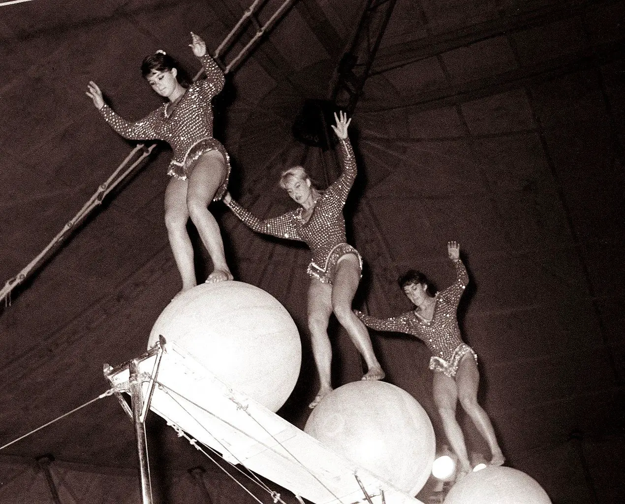 Premieria cirkusa Adria v Magdalenskem parku 21 September 1962 Danilo Škofič 01.jpg