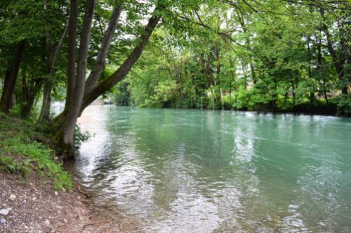 Sava river.jpg