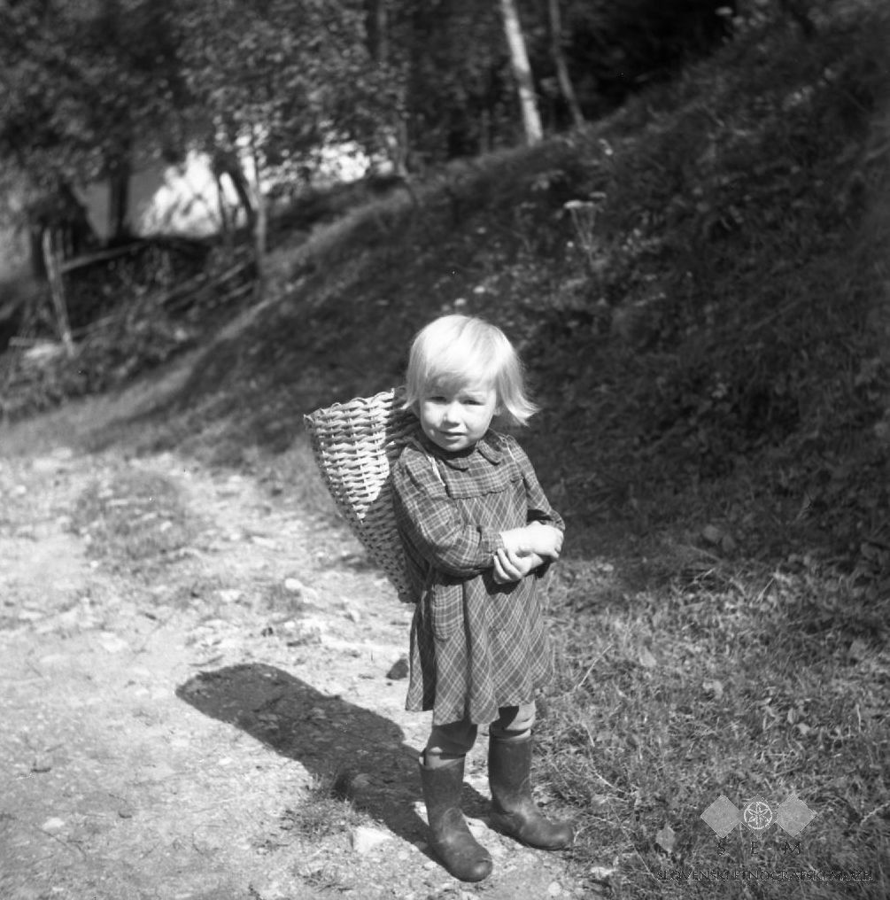 Silva,_3_leta,_Planina,_gre_s_koškom_z_materjo_na_njivo_1954.jpg