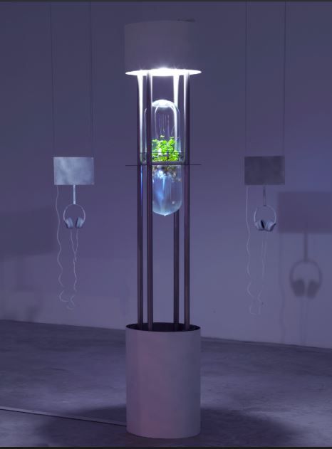 Simbiom – ekonomija simbioze, 2016 © Dejan HabichtArhiv Moderne galerije.JPG