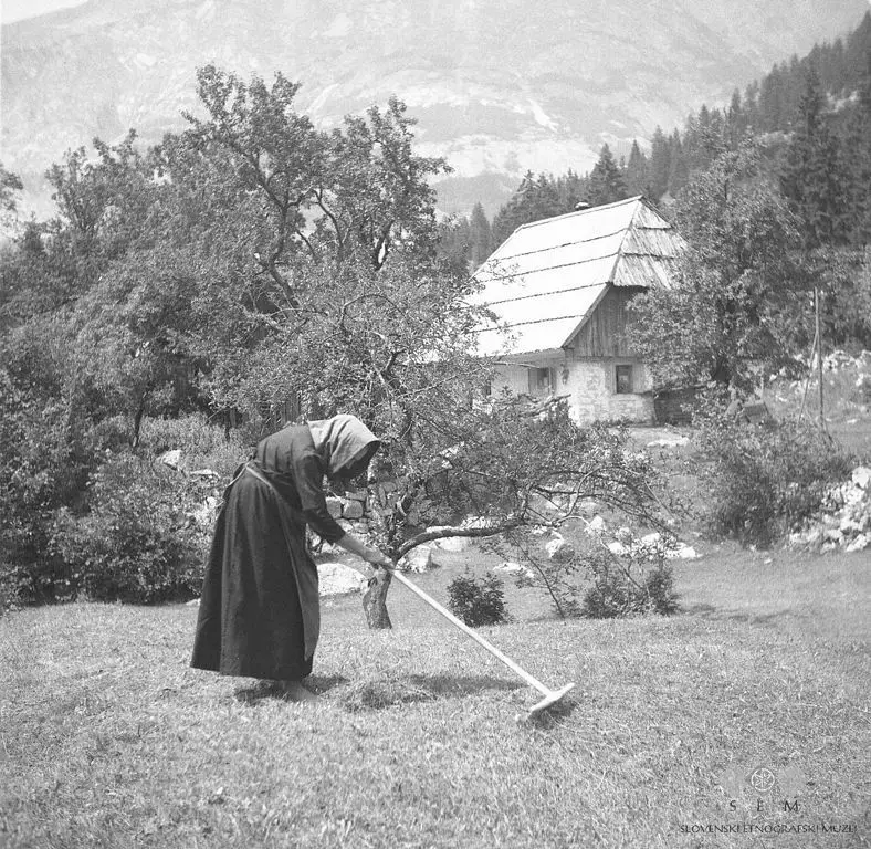 Uvančovka_(90_let)_grabi,_Soča_-_Pod_Skalo_1952.jpg