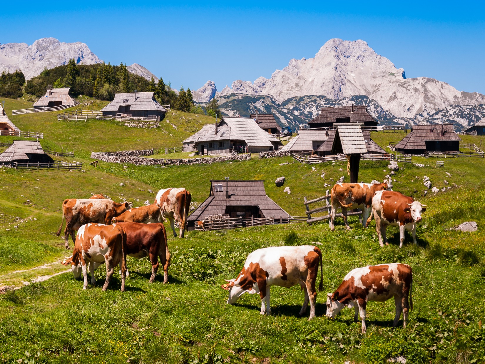 Velika planina huts.jpg