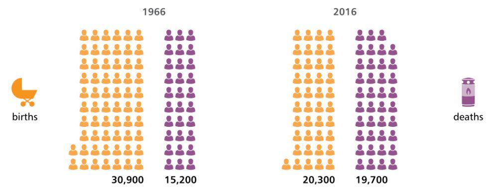 birth rate.jpg