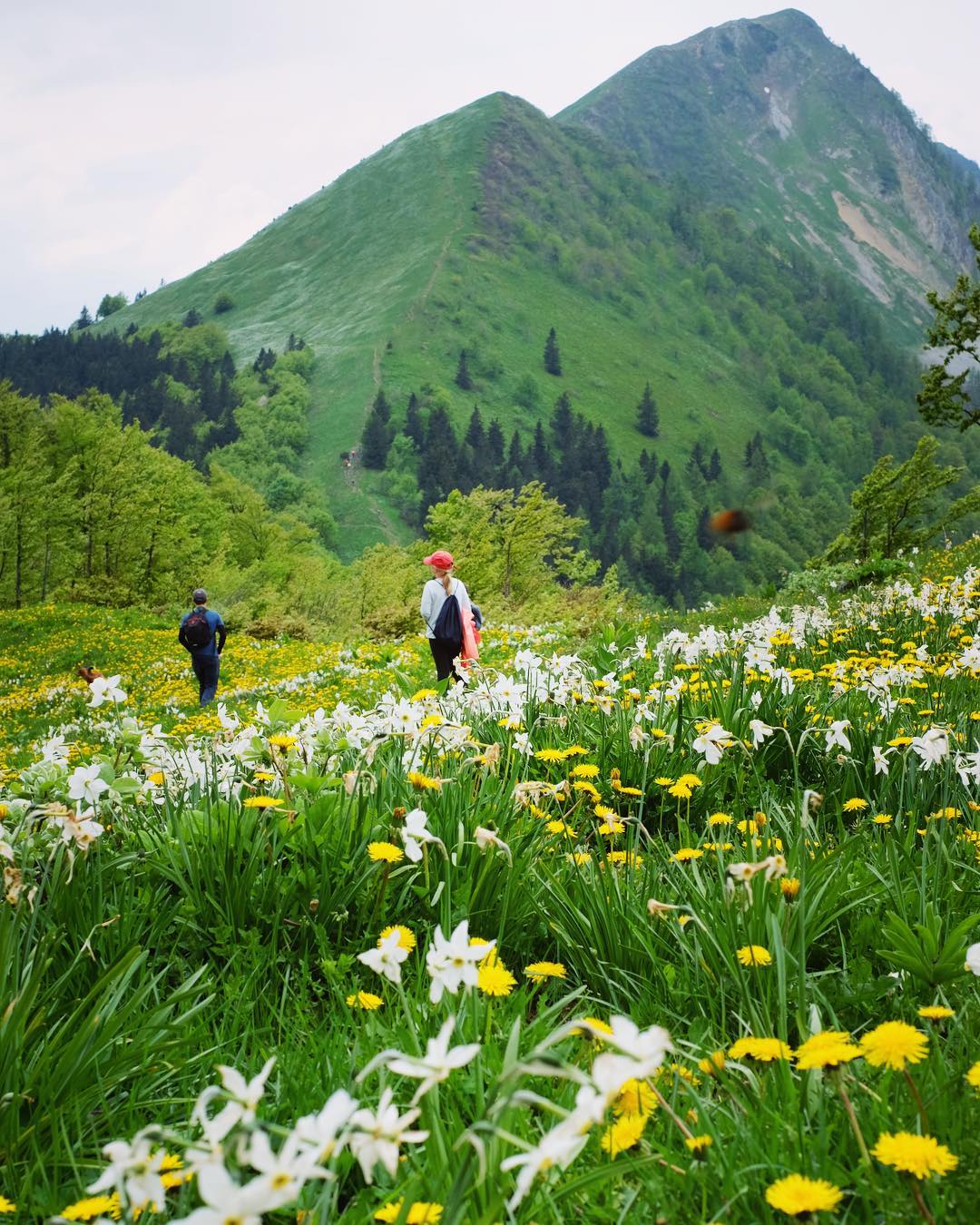 exploring slovenia hiking travel tours triglav (10).jpg