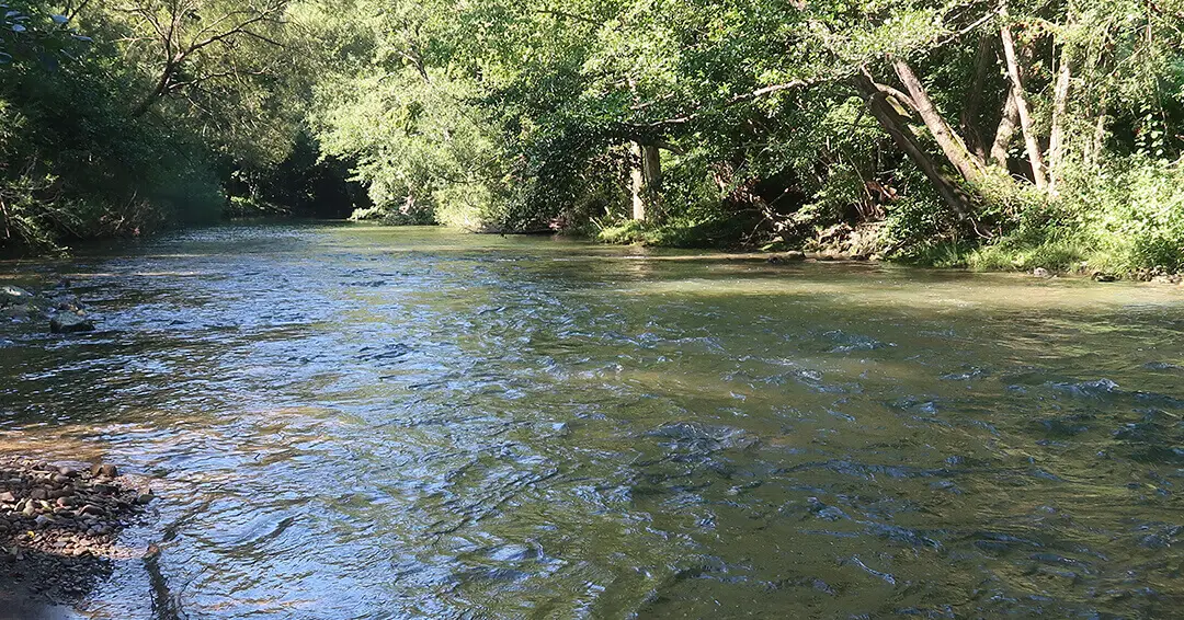 flyfishing slovenia river reke green karst (5).jpg