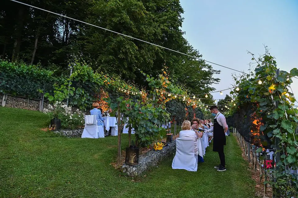 strelec vinyard dinner.jpg