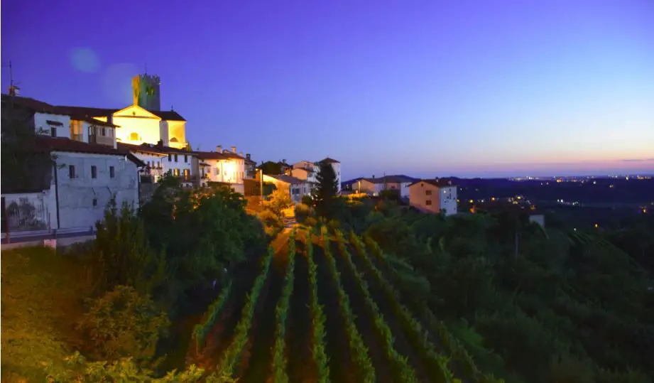 vineyards_slovenia.JPG