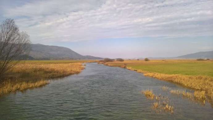 Stržen