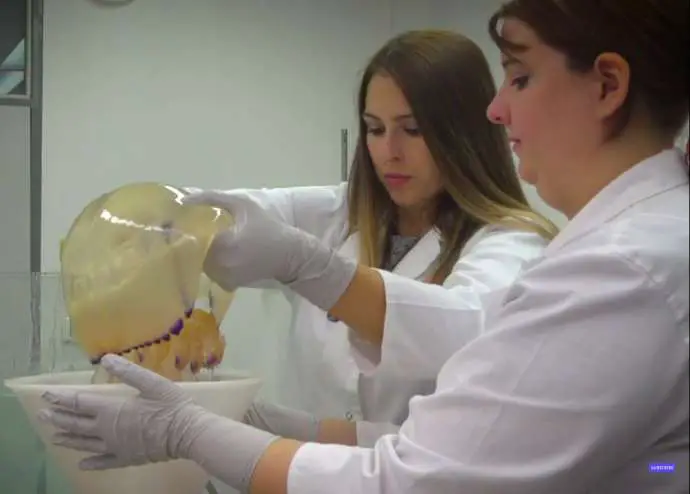 Slovenian Researchers Developing Ocean-Cleaning Microplastic Filter Based on Jellyfish Mucus (Video)