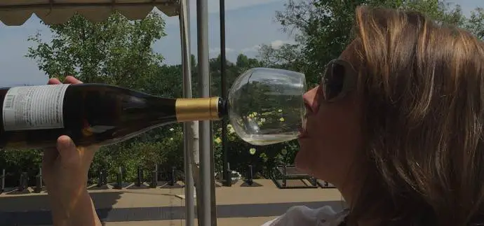 Slovenes Drink 39 Litres of Wine Per Capita