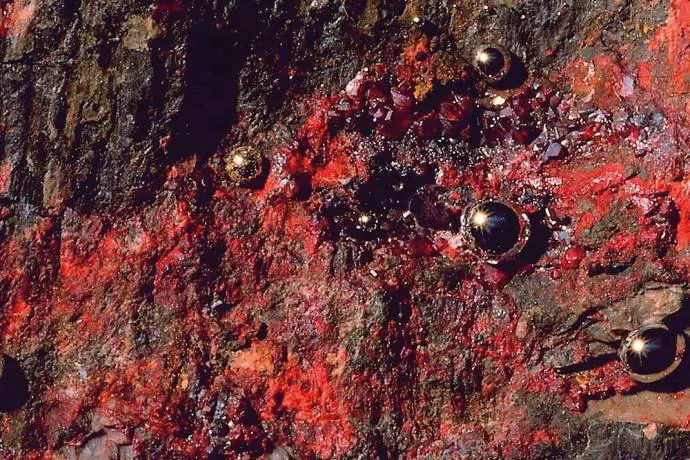 cinnabar (red) mercury ore with native mercury drops popping out from the mine wall, Geological park Idrija