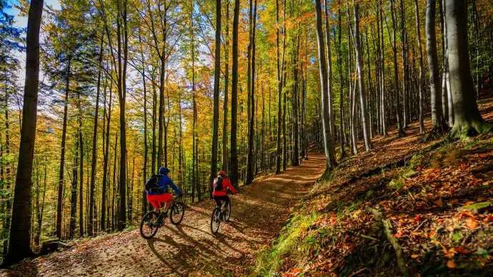 Rediscover Slovenia with a Bike Tour