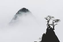 Marc Riboud. Huangshan, 1985. On the right, the pine named Flower-Formed-on-the-tip-of-a-Dream-Paintbrush. On the left, the Sublime Peak.