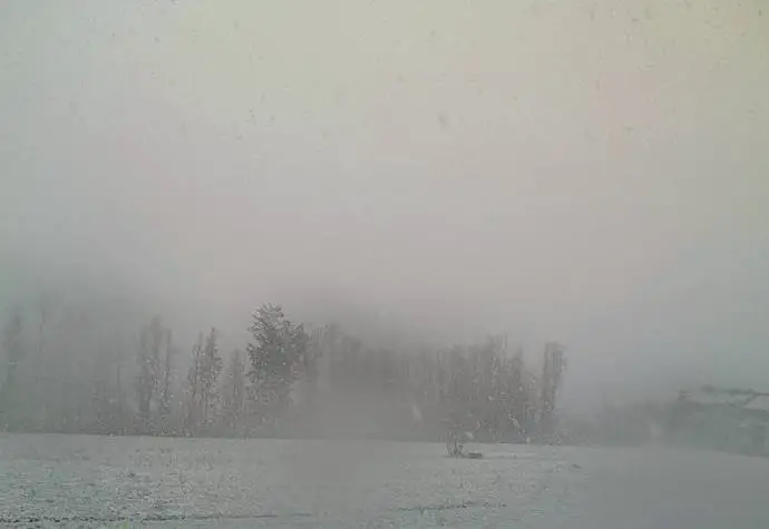 Heavy snow near Postojna