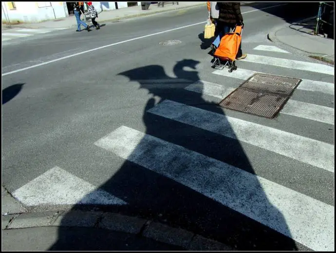 The Shadow Self in Ljubljana