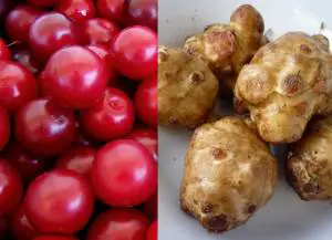 Recipes for Jerusalem Artichokes or Cherry Plums Wanted for a Cookbook on Alien Invasive Species in Slovenia