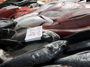 The Fish Market at Ljubljanska Tržnica