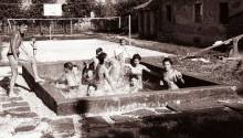 Detail of a small pool on Partisanki cesta, Maribor, 1962