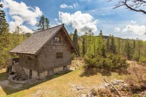 A rental chalet on Mount Vogel