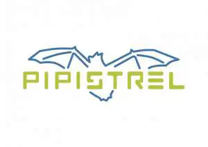 Pipistrel Announce Plans for Cargo Aircraft, “Flying Van” &amp; Hydrogen Shuttle