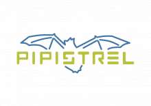 Pipistrel Announce Plans for Cargo Aircraft, “Flying Van” & Hydrogen Shuttle