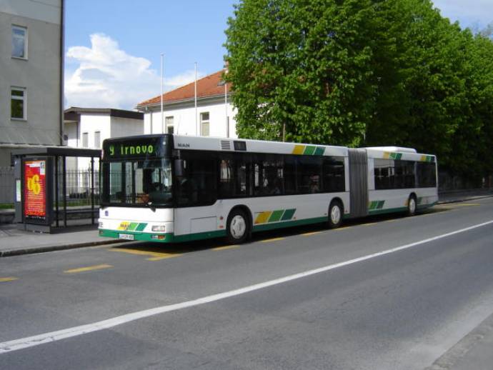 Bus no 9 