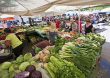 Ljubljana Market is an attraction in itself