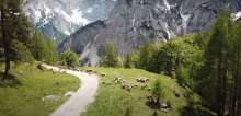 Slovenia’s Only National Park, Triglav, Marks Two Important Anniversaries