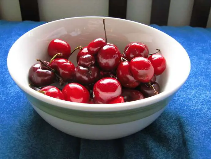 Strong Winds Ruin Cherry Harvest in Vipava Valley