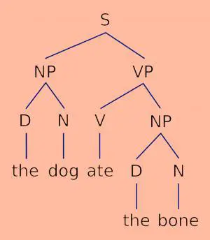 Basic English syntax tree