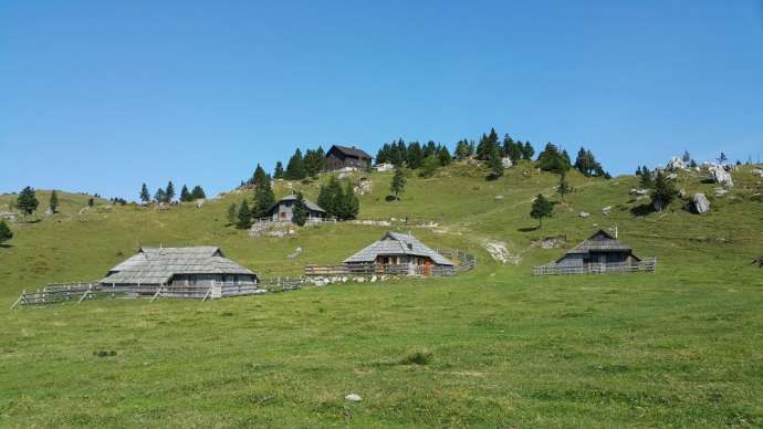 Velika planina