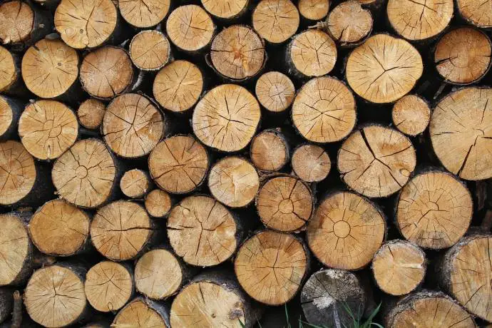 Heating Season Approaching: High Fines for Burning Wet Wood
