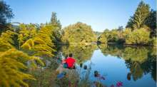 Petition to Preserve Sava River Confluence in Radovljica