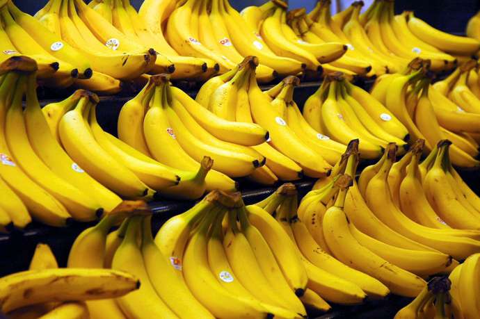 Cocaine Found in Slovenian Banana Shipment, Company Denies Involvement