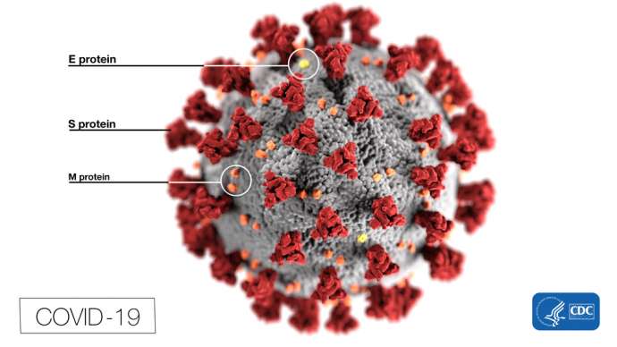 This illustration, created at the Centers for Disease Control and Prevention (CDC), reveals ultrastructural morphology exhibited by coronaviruses. Note the spikes that adorn the outer surface of the virus, which impart the look of a corona surrounding the virion, when viewed electron microscopically. In this view, the protein particles E, S, and M, also located on the outer surface of the particle, have all been labeled as well. A novel coronavirus, named Severe Acute Respiratory Syndrome coronavirus 2 (SARS-CoV-2), was identified as the cause of an outbreak of respiratory illness first detected in Wuhan, China in 2019. The illness caused by this virus has been named coronavirus disease 2019 (COVID-19).