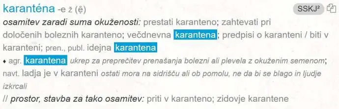 “Karantena” Slovenia’s Word of the Year, 2020