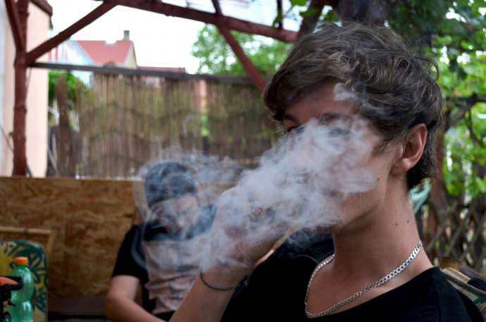 National Institute for Public Health Highlights Widespread Cannabis Use Among Slovenian Teens