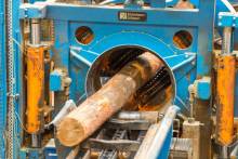 Scotland’s BSW Timber’s €41m Investment in Gomilsko on Schedule (Interview)