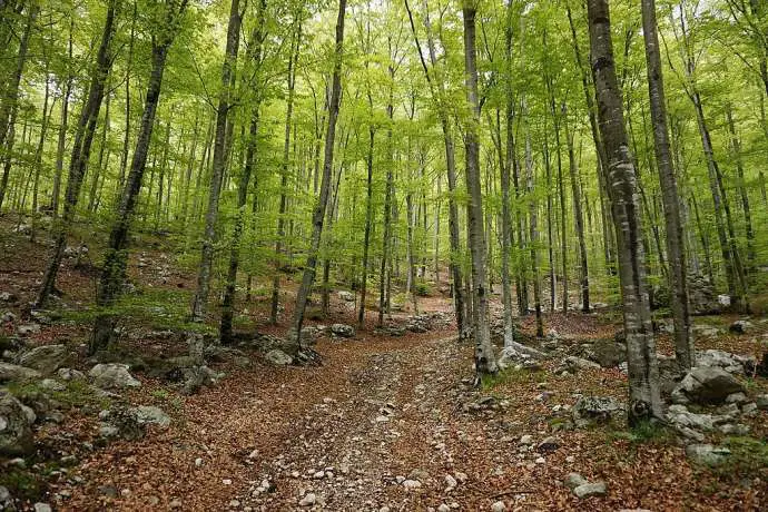 Get some fresh air, if you can