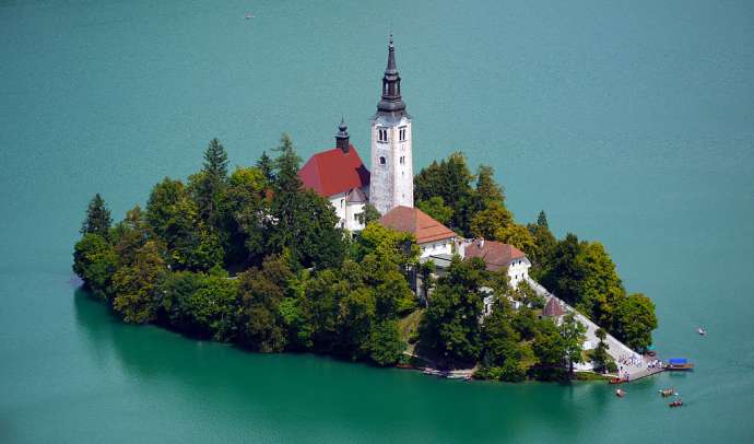 Brown Algae Warning at Lake Bled