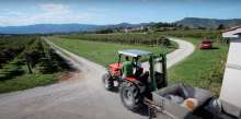 Vipava Valley