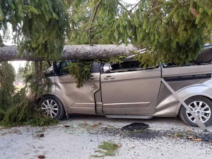 German Student Seriously Injured by Fallen Billboard in Strong Winds Wednesday