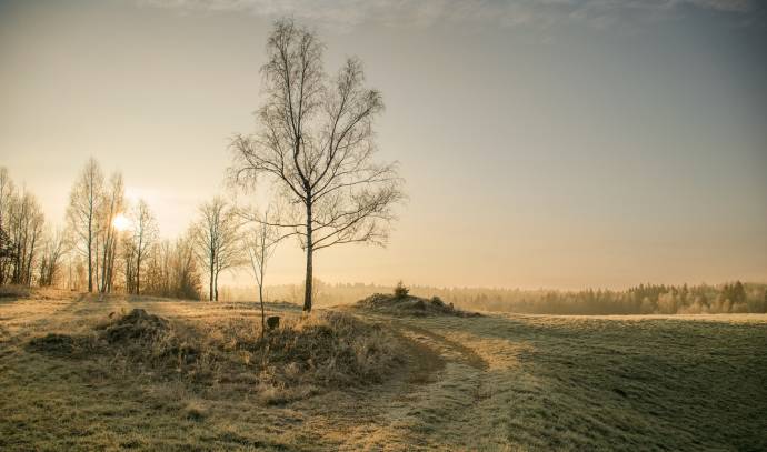 A Cold Morning in Bela Krajina